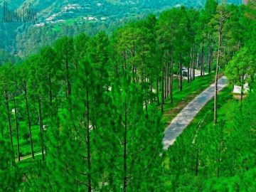 Best 7 Days 6 Nights sonmarg Holiday Package