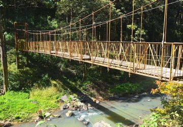 7 Days 6 Nights Ooty Explore The Attractions Around Tour Package