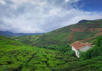 7 Days 6 Nights Ooty Explore The Attractions Around Tour Package