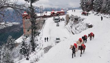 Family Getaway 3 Days Delhi to shimla - kufri Hill Stations Tour Package