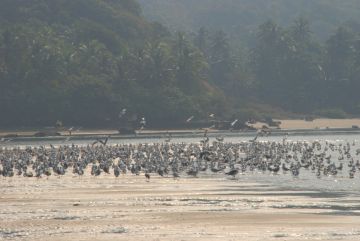 MALVAN TARKARLI TOUR