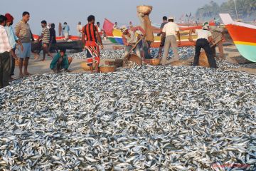 MALVAN TARKARLI TOUR