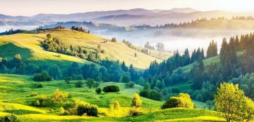 Best 7 Days 6 Nights gulmarg Holiday Package