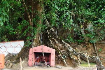 4 Days 3 Nights Kannur to Trip Package