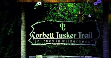 Magical 3 Days jim corbett Trip Package