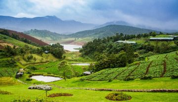 4 Days mysore, ooty with bangalore Friends Holiday Package