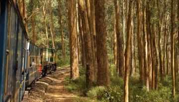 4 Days mysore, ooty with bangalore Friends Holiday Package