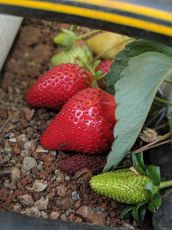 3 Days 2 Nights mumbai Friends Tour Package