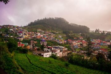 6 Days 5 Nights mysore, ooty, coonoor and coorg Cruise Vacation Package