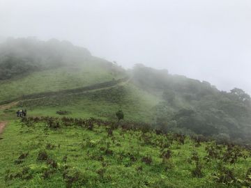 6 Days 5 Nights mysore, ooty, coonoor and coorg Cruise Vacation Package