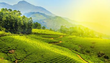 Beautiful 6 Days cochin to munnar Tour Package