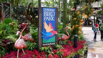 Ecstatic 7 Days Bangalore to sinagapore Vacation Package