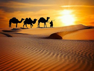 Heart-warming 2 Days 1 Night jaisalmer Holiday Package