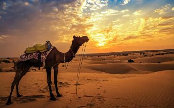 Heart-warming 2 Days 1 Night jaisalmer Holiday Package