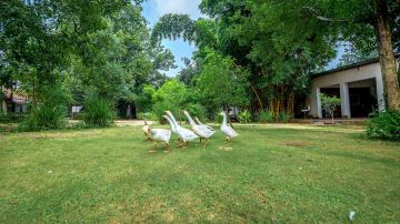 3 Days 2 Nights Pench Tour Package