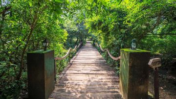 3 Days 2 Nights Pench Tour Package