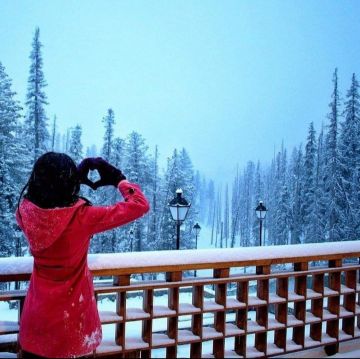Heart-warming 5 Days Srinagar to gulmarg Vacation Package
