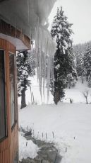 Heart-warming 5 Days Srinagar to gulmarg Vacation Package
