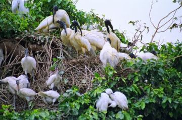 Pleasurable kannur Tour Package for 2 Days 1 Night