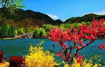 Amazing 7 Days sri nagar airport to sonmarg day trip Vacation Package