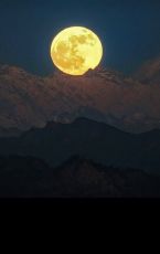 Amazing 4 Days 3 Nights Manali Tour Package by Mountain Tamers Tour And Travel