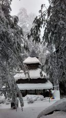 Amazing 4 Days 3 Nights Manali Tour Package by Mountain Tamers Tour And Travel