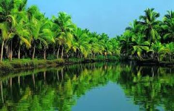 Kerala Package 5N/6D