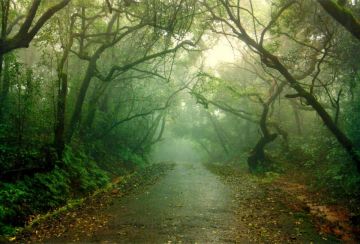 4 Days 3 Nights mumbai to pratapgad Vacation Package