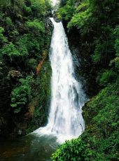 Experience 6 Days Goa to north goa Vacation Package