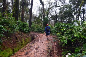 Land package to Coorg in best budget