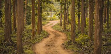 2 Days 1 Night Bangalore to coorg Vacation Package