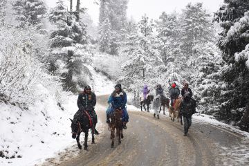 manali with shimla Tour Package for 6 Days 5 Nights from Shimla