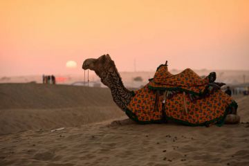 Heart-warming 3 Days 2 Nights jaisalmer Trip Package