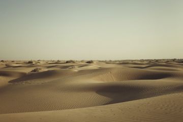 Heart-warming 3 Days 2 Nights jaisalmer Trip Package