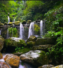 5 Days 4 Nights delhi to manali Trip Package