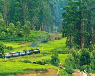 3 Days 2 Nights Coimbatore to coonoor Wildlife Holiday Package