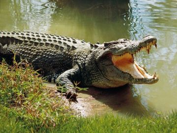 3 Days 2 Nights Bhubaneswar Tour Package 3 Days 2 Nights Bhubaneswar Tour Package