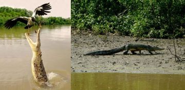 3 Days 2 Nights Bhubaneswar Tour Package 3 Days 2 Nights Bhubaneswar Tour Package