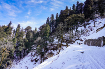 7 Days shimla, kufri, manali with solang valley Nature Holiday Package