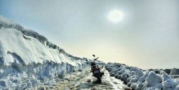 2 Days rohtang and shimla Wildlife Trip Package