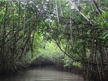 Heart-warming 4 Days 3 Nights Pondicherry Tour Package