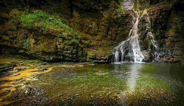 4 Days wayanad, coorg with bangalore Culture and Heritage Trip Package