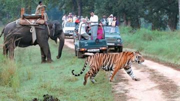 4 Days 3 Nights jim corbett to nainital Holiday Package