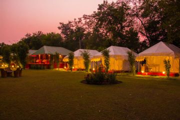 Amazing 3 Days ranthambore Luxury Trip Package