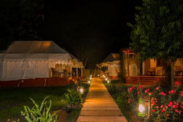 Amazing 3 Days ranthambore Luxury Trip Package