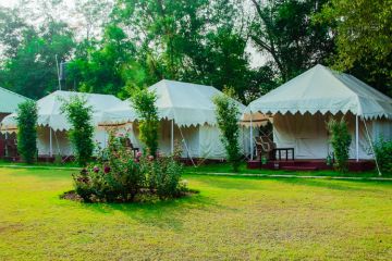 Amazing 3 Days ranthambore Luxury Trip Package