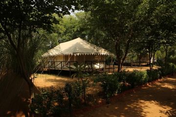 Heart-warming 3 Days ranthambore Nature Vacation Package