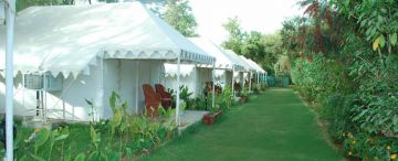 Heart-warming 3 Days ranthambore Nature Vacation Package