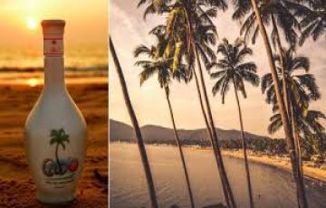 Memorable 3 Days 2 Nights south goa Holiday Package