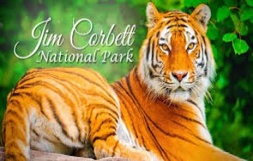 4 Days nainital, ranikhet, jim corbett and pickup point Luxury Holiday Package